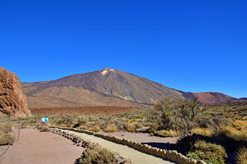 Tenerife, Canary Islands - march 15 2024 : Teide National Park - 785606247