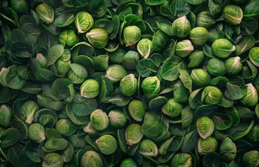 Foto op Plexiglas Close Up of Brussels Sprouts © olegganko