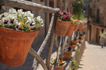 Street in valldemossa in mallorca with plants hanging in mud planters 