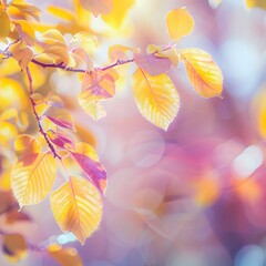 Naklejka na ściany i meble Golden Glow - Serene Autumn Backdrop with Soft Focus Leaves and Bokeh Sparkle