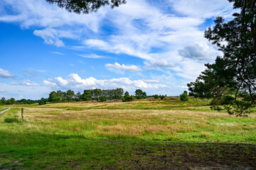Die L&uuml;neburger Heide zur Heidebl&uuml;te, Heidebl&uuml;tenzeit im Sommer (August/September), Landschaft mit Heide, Wanderwege und Bl&uuml;ten bei blauem Himmel und Sonnenschein, Undeloh, Niedersachsen, Deutschland