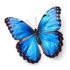 Azure Wings: Radiant Blue Butterfly in Flight
