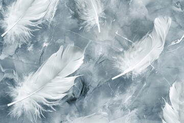 Serene Beauty: Soft White Feathers on a Marbled Background