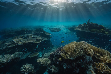 "Vivid Marine Life in a Tropical Reef"