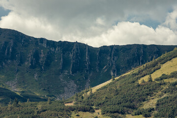 Fototapeta na wymiar Summer day in the mountains. Mount Shpytsi, Chornohora, Carpathian Mountains