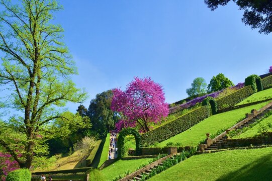 view of the Bardini garden, historic park of Villa Bardini located in the historic center of Florence in Tuscany, Italy