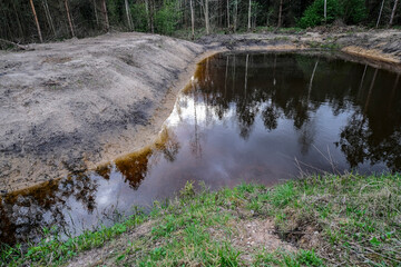 Small pond in forest at spring season background