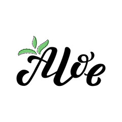 Aloe black lettering phrase on white background. Hand drawn vector illustration with aloe plant text decor for banner or advertising. Positive motivational nice quote for cosmetic care poster or print