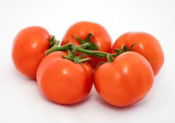 Tomatoes on a white background