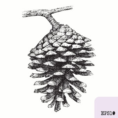 Pine cone. Tree plant, fruit. Pointillism, graphic black ink drawing - 785637049