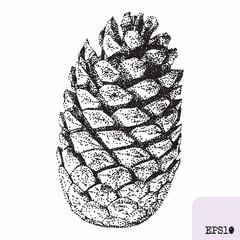 Pine cone. Tree plant, fruit. Pointillism, graphic black ink drawing