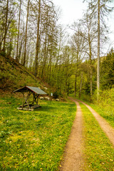 Eine kleine Wandertour von Bad Liebenstein bis zum Rennsteig, inkl. dem Frühlingserwachen im...