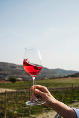 Female hand delicately holds a glass of rose wine with view of a vineyard sprawling in the...