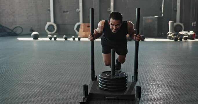 Gym, Asian man and weight sled for exercise or fitness and muscle with strength for body building. Bodybuilder, training and energy with equipment for workout, healthy living and strong for wellbeing