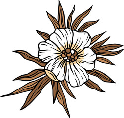 White flower with leaves - 785646242