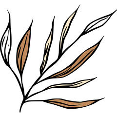  Leaves sketch branch, vintage line art vector
