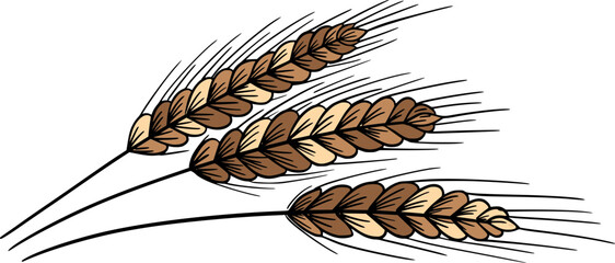 Fototapeta premium Wheat spikelets vintage line art sketch