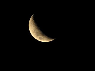 Naklejka premium Sob a luz da lua, tudo se torna mais mágico e inspirador.