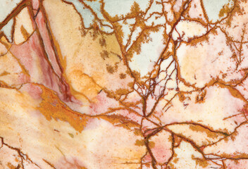 Unique patterns of a Moss Agate specimen from Oregon