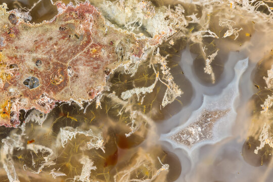 Intricate patterns of a Brazilian Agate specimen