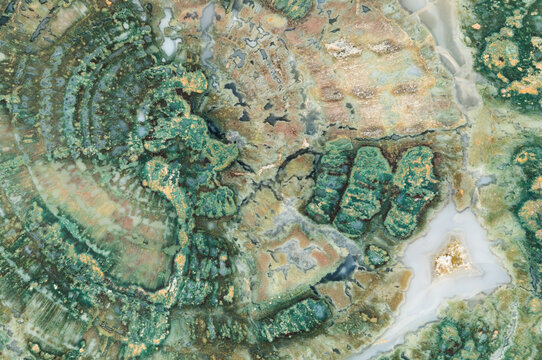 Exquisite patterns of Oregon Moss Agate