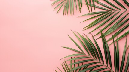 Fototapeta na wymiar Tropical Palm Leaves on Pastel Background