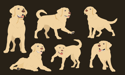 Collection of Labrador Retriever Vector Illustrations
