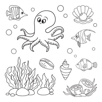 Marine set, fish, octopus, jellyfish and shells in simple linear style. Black and white graphics for books and posters