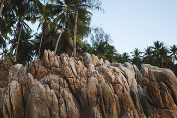 Rugged Rocks and Tropical Palms on a Secluded Beach