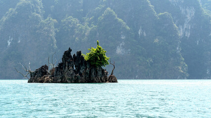 Island on chao lan lake in thailand