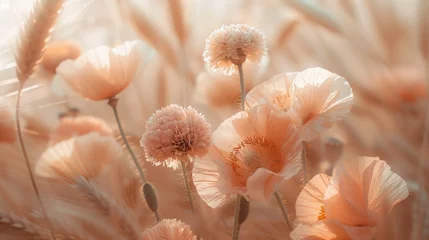 Foto auf Acrylglas Field poppy landscape, summer background © PD