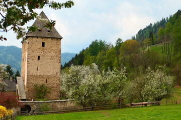 Wehrturm und Streuobstwiesen in der Steiermark, Baierdorf, Schöder