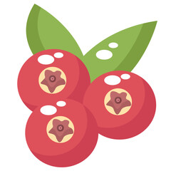 cranberries with a red flat illustration design and there are 3 cranberries then there are leaves and the shadow of the fruit