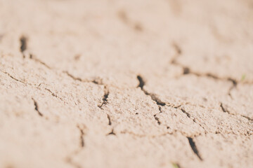 parched, cracked earth in the desert