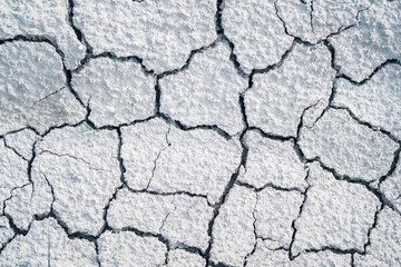 parched, cracked earth in the desert
