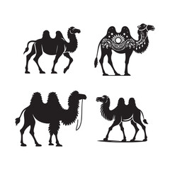 Camel silhouette vector icon graphic logo design