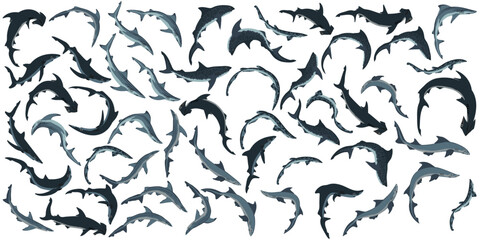 Sea sharks collection on white background. Vector illustration.