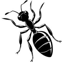 ant