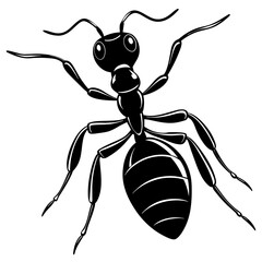 illustration of Ant