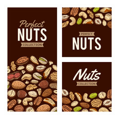 Mixed nuts colorful banner templates, backgrounds with nuts, hand-drawn food illustrations and icons