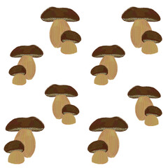 Seamless floral forest transparent pattern with mushrooms. Children's stylized pencil illustration for textile and paper design.