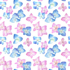 Seamless pattern with blue and pink  hydrangea on a white background. Watercolor illustration of summer flowers in botanical style.