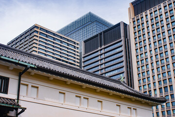 Tokyo Tapestry: Otemon's Historic Roofline Against a Modern Skyline, April 2024
