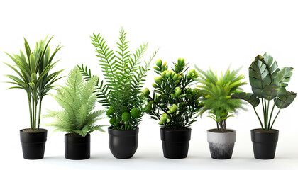 Fototapeta premium Green tropical home plants in pots on white background