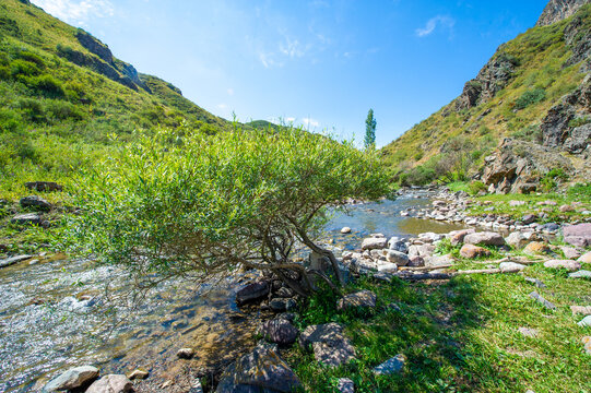 Enjoy the serene beauty of nature in a mountain canyon. See how the river flows gracefully through the rugged rocks. Feel the peace and tranquility of the majestic mountains.