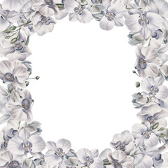 White orchid flowers in a rectangular frame composition to decorate your themed printables. Tropical plants. Watercolor illustration. For invitations, weddings, birthdays, beach party.