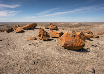 Pieces of red concretions on the horizon at Red Rock Coulee near Seven Persons, Alberta, Canada - obrazy, fototapety, plakaty