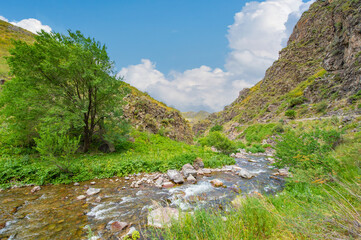 Enjoy the mesmerizing beauty of nature. See how the river gracefully flows through the rocky canyon. Feel the serenity and peace in the heart of the mountains.