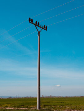 Power lines