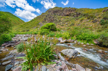 Fototapeta na wymiar Enjoy the mesmerizing beauty of nature. See how the river gracefully flows through the rocky canyon. Feel the serenity and peace in the heart of the mountains.